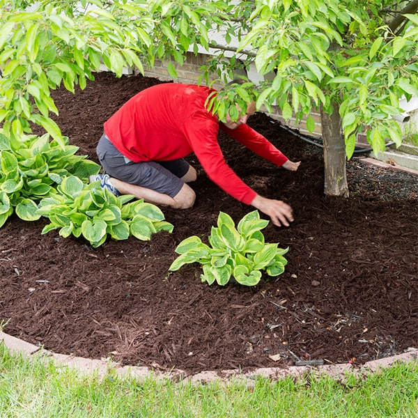 the best type of mulch for your garden will depend on your specific landscape needs and preferences for mulch installation